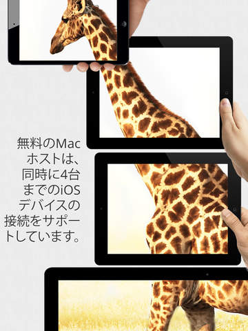 iPad スクリーンショット 3